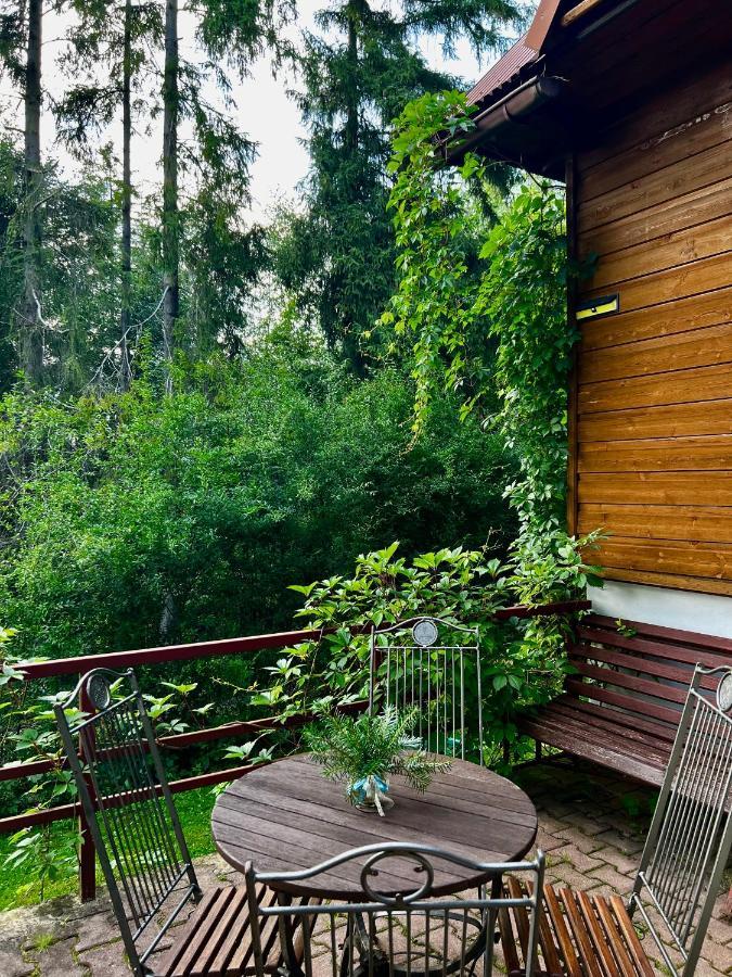 Domek Pod Modrzewiem Новы-Тарг Экстерьер фото