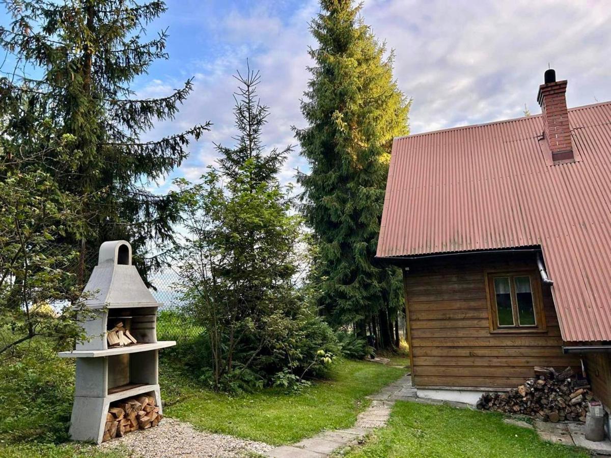 Domek Pod Modrzewiem Новы-Тарг Экстерьер фото